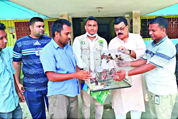 বিক্রয় নিষিদ্ধ পাখি উদ্ধার