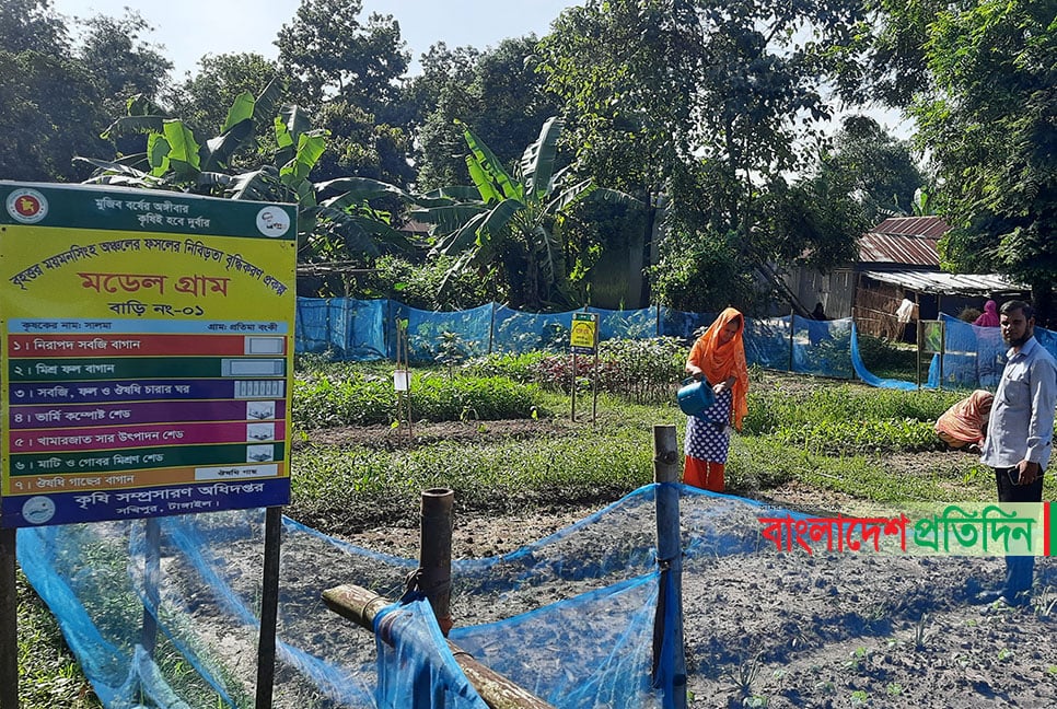 ৫ বাড়ি নিয়ে ‘মডেল গ্রাম’, চাষ হচ্ছে রাসায়নিক মুক্ত সবজি