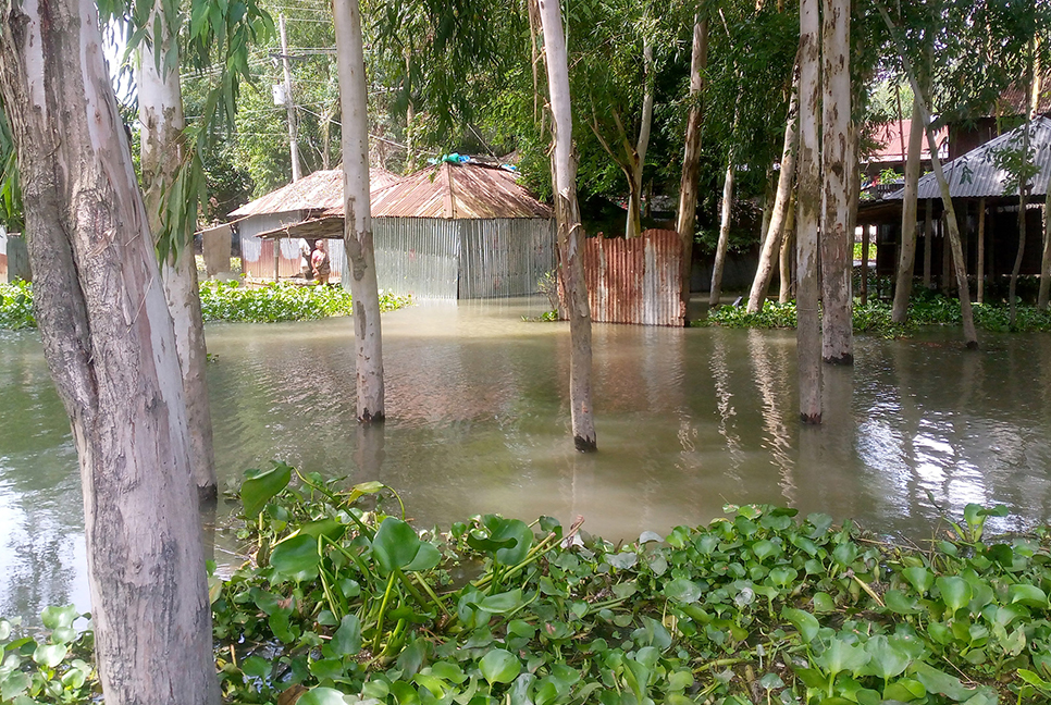 বগুড়ায় যমুনা নদীর পানি স্থিতিশীল