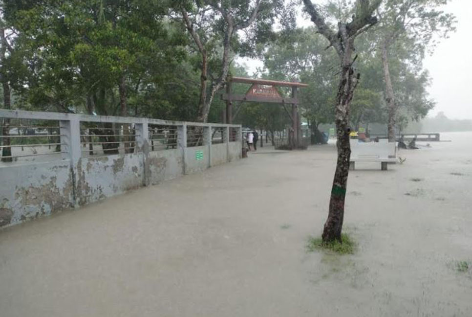 জলোচ্ছ্বাসে হুমকিতে সুন্দরবনের ৩৭৫ প্রজাতির বন্যপ্রাণী