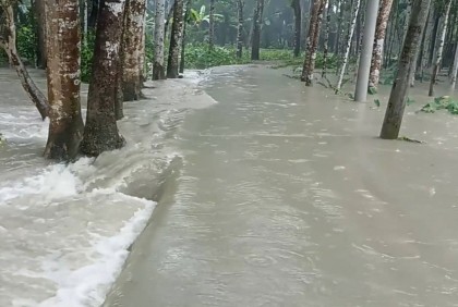 বিষখালী নদীর জোয়ারের পানিতে কাঁঠালিয়ায় ২৭ গ্রাম প্লাবিত