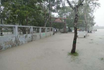 জলোচ্ছ্বাসে হুমকিতে সুন্দরবনের ৩৭৫ প্রজাতির বন্যপ্রাণী
