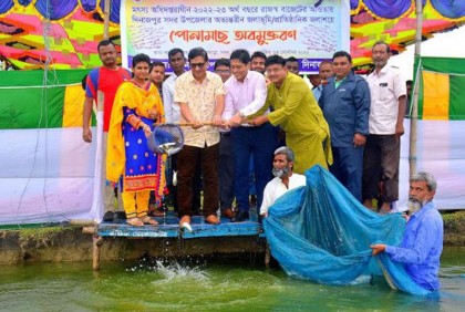 দিনাজপুরে আনন্দ সাগরে 
 পোনামাছ অবমুক্তকরণ