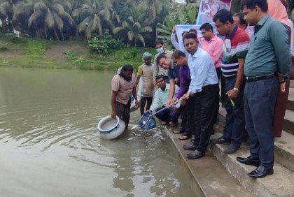 মধুখালীতে মাছের পোনা অবমুক্তকরণ কার্যক্রম উদ্বোধন