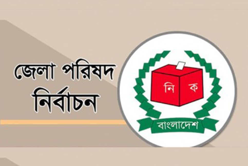 কুমিল্লার দাউদকান্দি ও মেঘনার প্রার্থীদের প্রচার-প্রচারণা
