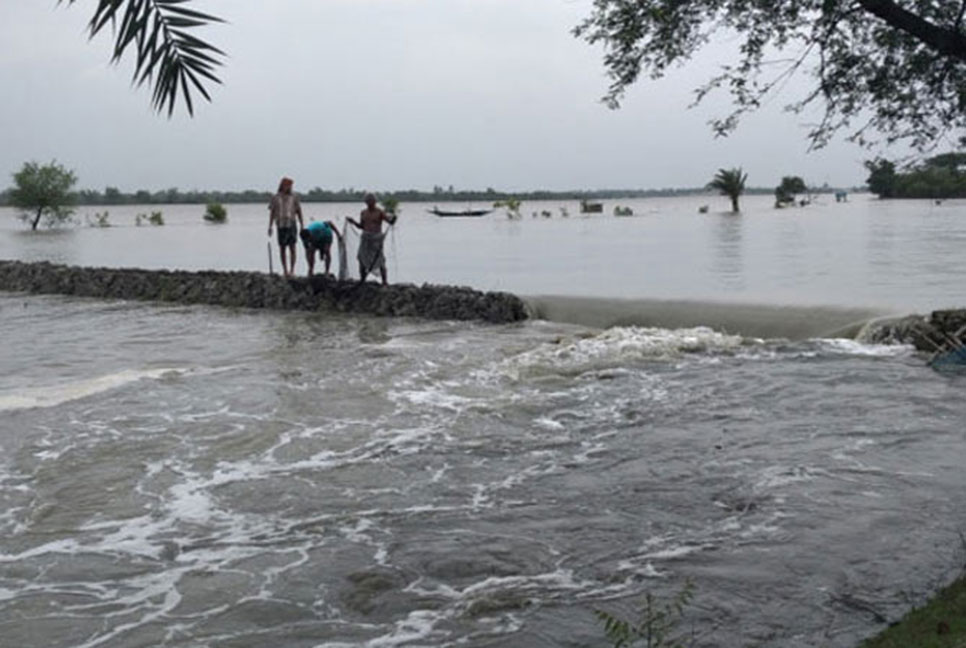 বৃষ্টিপাত-জলোচ্ছ্বাসে বাগেরহাটে ভেসে গেছে ৪ কোটি টাকার মাছ