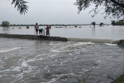 বৃষ্টিপাত-জলোচ্ছ্বাসে বাগেরহাটে ভেসে গেছে ৪ কোটি টাকার মাছ