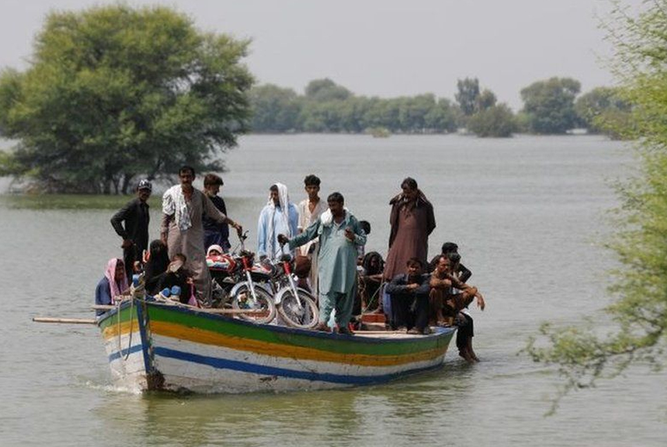 বন্যার পর পাকিস্তানের নতুন আতঙ্ক ডেঙ্গু