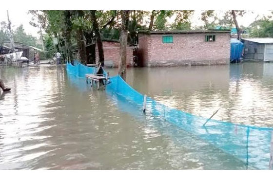 টানা বৃষ্টিতে সাতক্ষীরার নিম্নাঞ্চল প্লাবিত