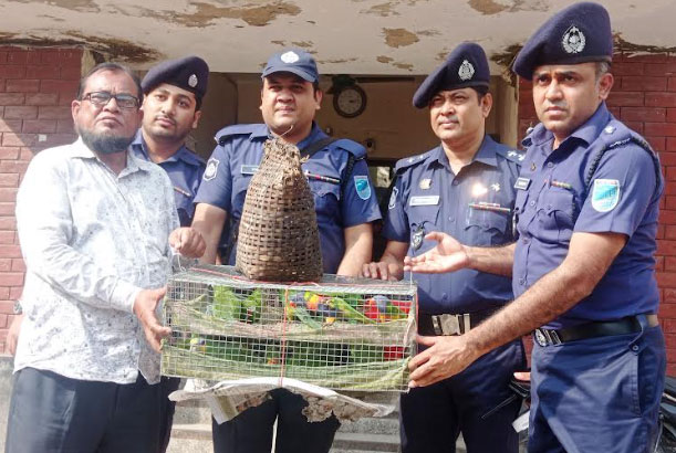 রাজবাড়ীতে উদ্ধারকৃত পাখি বনবিভাগের কাছে হস্তান্তর