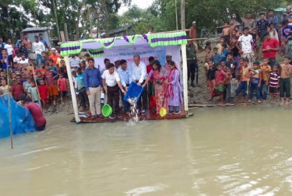 বিশ্বনাথে মাছের পোনা অবমুক্ত