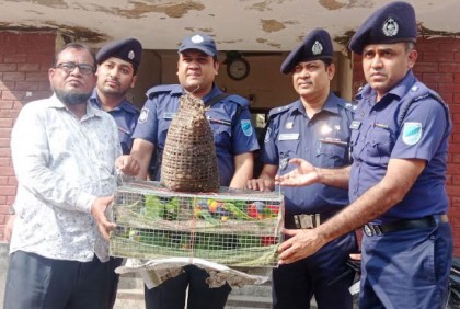 রাজবাড়ীতে উদ্ধারকৃত পাখি বনবিভাগের কাছে হস্তান্তর