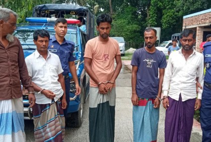 নাটোরে ২২টি গরু উদ্ধার, গ্রেফতার ৬