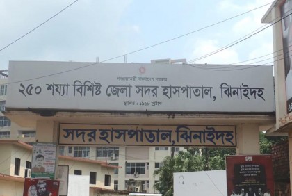ঝিনাইদহে কুকুরের কামড়ে আহত ২০