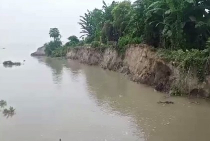 যমুনার ভাঙনে ফের নিঃস্ব হচ্ছে ভূমিহীনরা