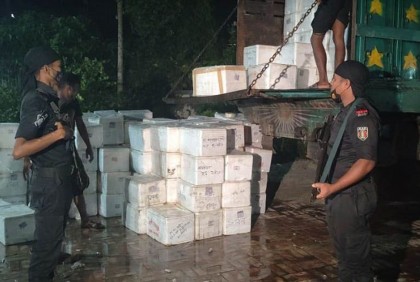 জেলি পুশ করা ২০০ কেজি চিংড়ি জব্দের পর ধ্বংস 