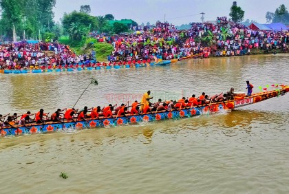 বগুড়ার ইছামতি নদীতে নৌকা বাইচ অনুষ্ঠিত