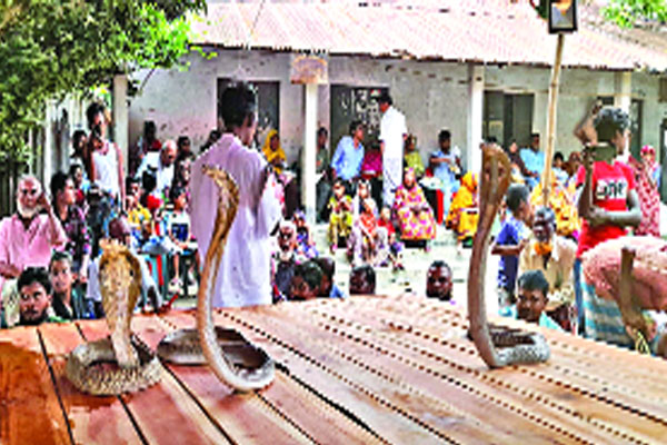 চুয়াডাঙ্গায় ঝাঁপান প্রতিযোগিতা