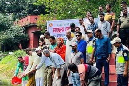 নাটোরে বিভিন্ন সরকারি জলাশয়ে মাছের পোনা অবমুক্ত
