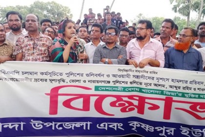 জনগণের ভোটাধিকার ফিরিয়ে না দেওয়া পর্যন্ত আন্দোলন: শামা ওবায়েদ