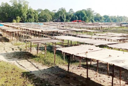 
দেশি প্রজাতির মাছ সংকটে নওগাঁর শুঁটকিপল্লী