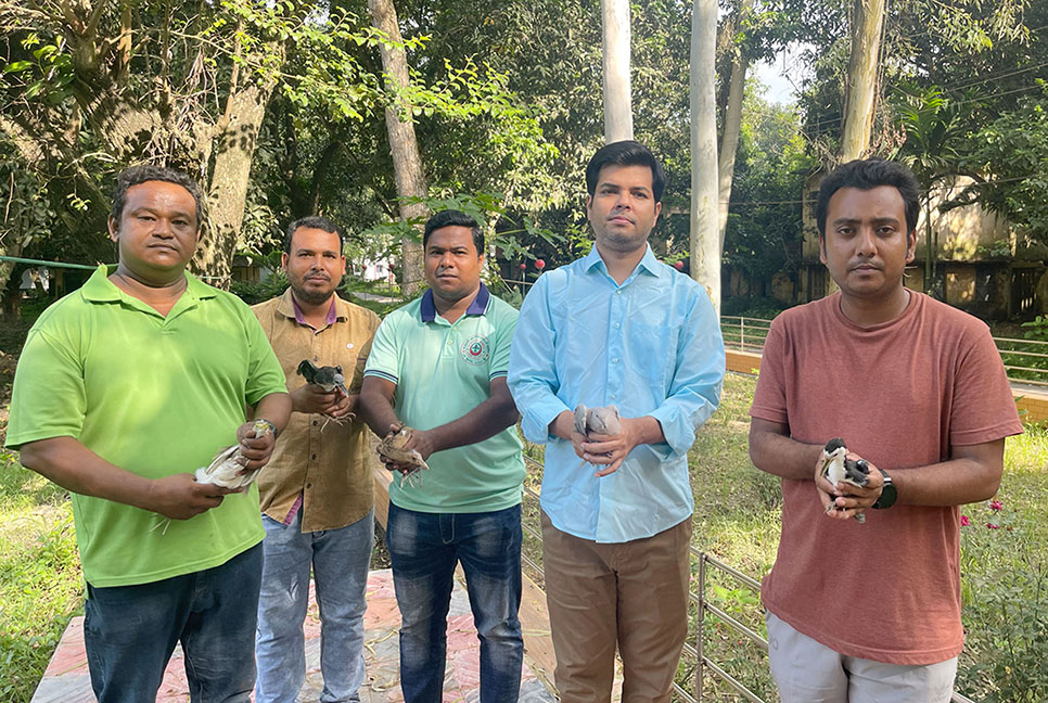 শিকারির কবল থেকে মুক্ত আকাশে  ৯১টি পাখি