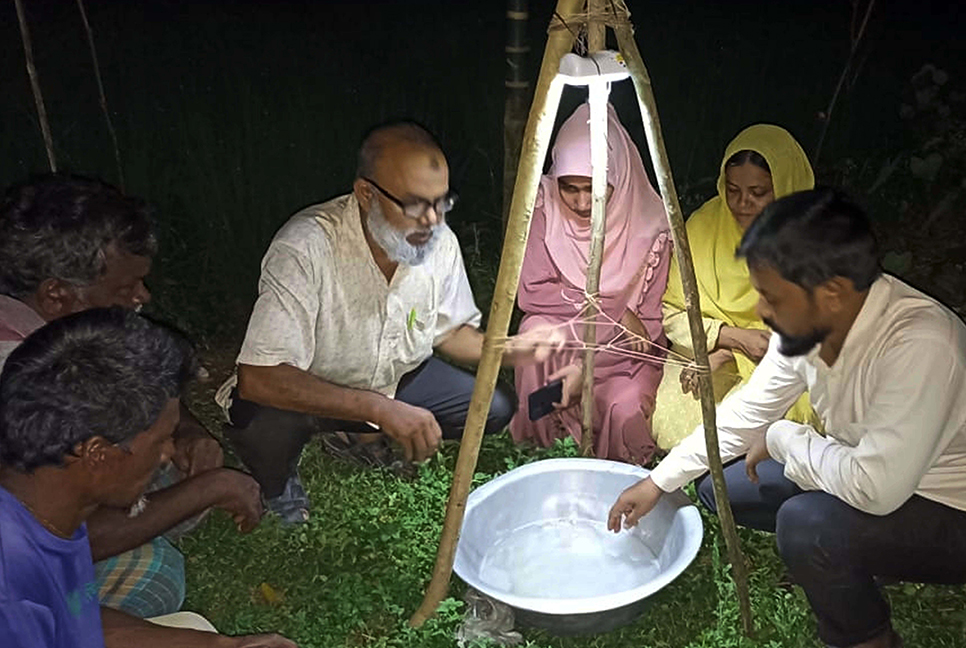 দিনাজপুরে পোকা দমনে জনপ্রিয় হচ্ছে আলোক ফাঁদ