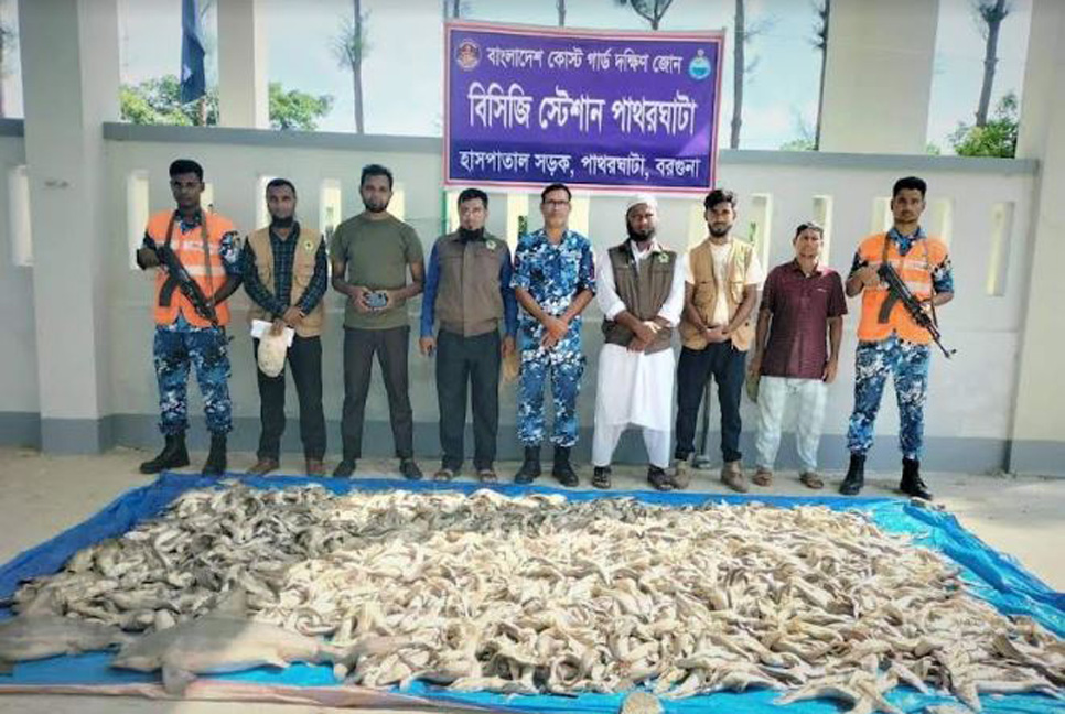 কোষ্টগার্ডের অভিযানে ইজিবাইকে মিলল ৪০০ কেজি হাঙর