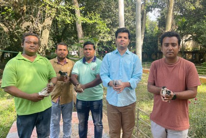শিকারির কবল থেকে মুক্ত আকাশে  ৯১টি পাখি