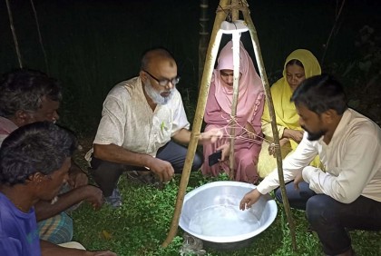 দিনাজপুরে পোকা দমনে জনপ্রিয় হচ্ছে আলোক ফাঁদ