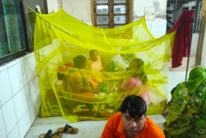 চুয়াডাঙ্গায় পাঁচ ডেঙ্গু রোগী হাসপাতালে ভর্তি