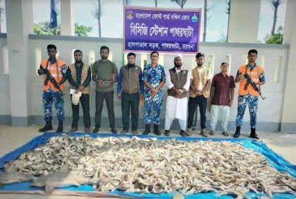 কোষ্টগার্ডের অভিযানে ইজিবাইকে মিলল ৪০০ কেজি হাঙর