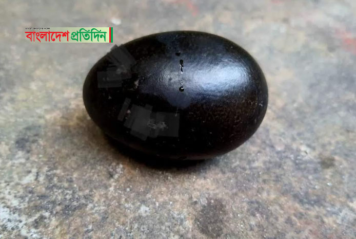 পাতিহাঁসের কালো ডিম!