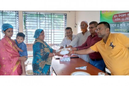 
কলাপাড়ায় নিরাপদ খাদ্য রেসিপি তৈরির প্রতিযোগিতা