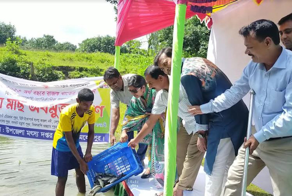 গাংনীতে মাছের পোনা অবমুক্ত