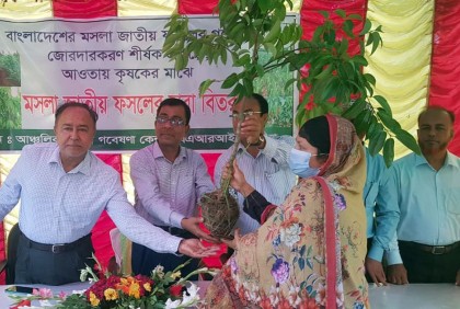 মাগুরায় কৃষক প্রশিক্ষণ ও চারা বিতরণ
