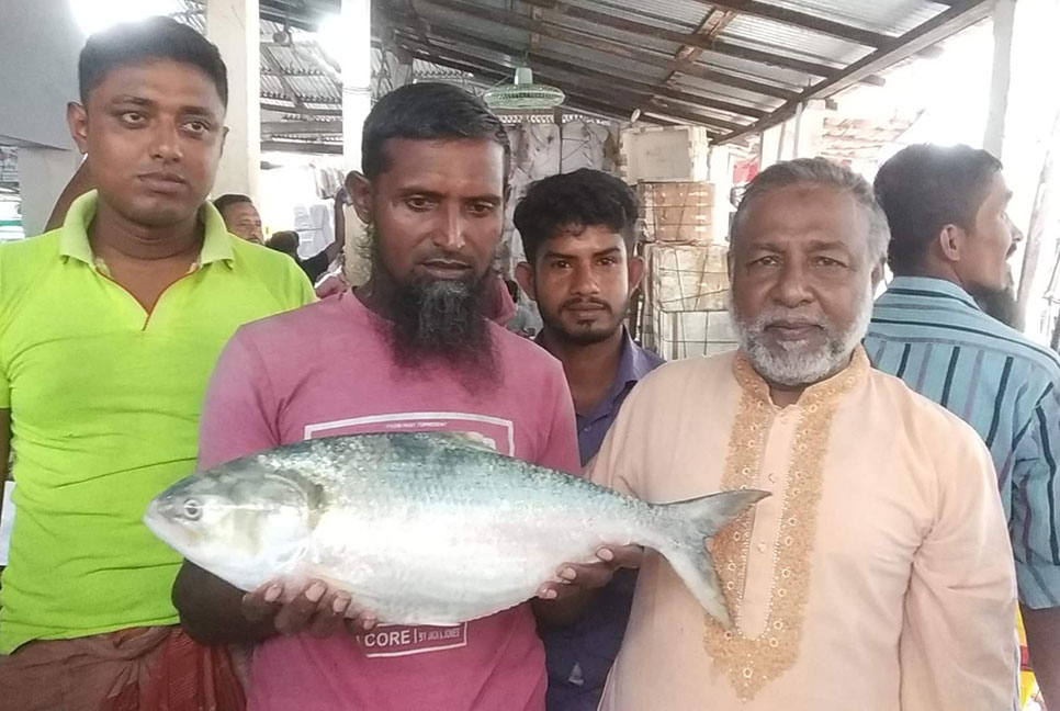 জেলের জালে ৩ কেজির ইলিশ