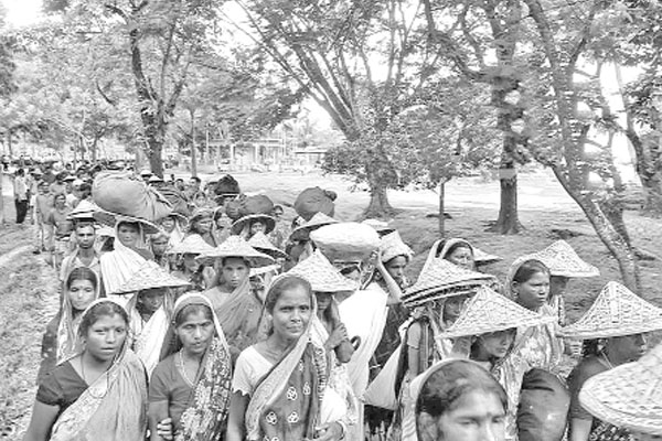 ‘বকেয়া মজুরির দাবিতে ফুঁসে উঠছে চা শ্রমিকরা’