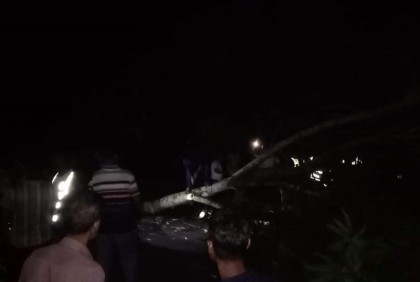 কমলগঞ্জে সড়কে গাছ ফেলে ডাকাতি