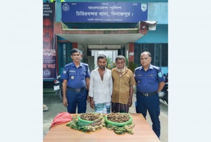 চিরিরবন্দরে গাঁজাসহ আটক ২