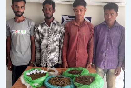 কলাপাড়ায় গাঁজাসহ ৪ জন গ্রেফতার