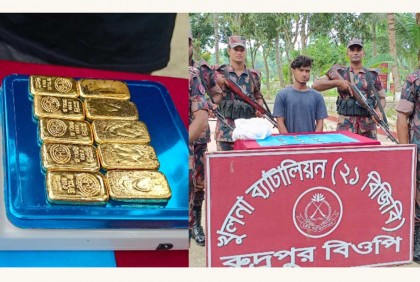 শার্শায় ইউরিয়া সারের ব্যাগে মিলল ১০টি স্বর্ণের বার

