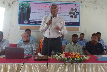 ঝিনাইদহে গুণগতমান সম্পন্ন বীজআখ উৎপাদন বিষয়ক কর্মশালা
