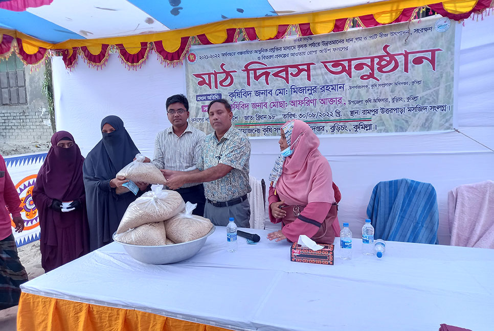 কুমিল্লায় মাঠ মাতাচ্ছে নতুন জাতের ব্রি ধান ৯৮