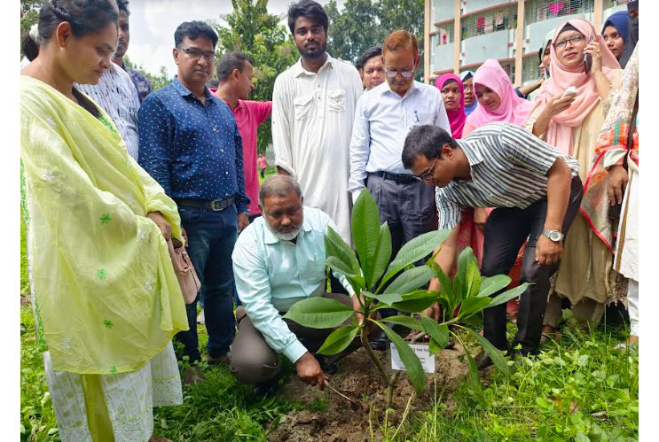 শেখ হাসিনার জন্মদিনে 
হাবিপ্রবিতে বৃক্ষরোপণ 
