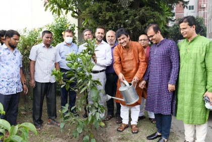 
শেখ হাসিনার জন্মদিন উপলক্ষে জাতীয় বিশ্ববিদ্যালয়ে বৃক্ষরোপণ কর্মসূচি