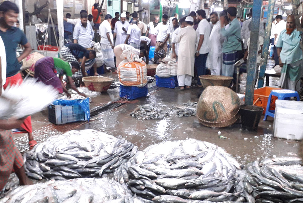 চাঁদপুরে ইলিশের আমদানি বৃদ্ধি, দামও নাগালে