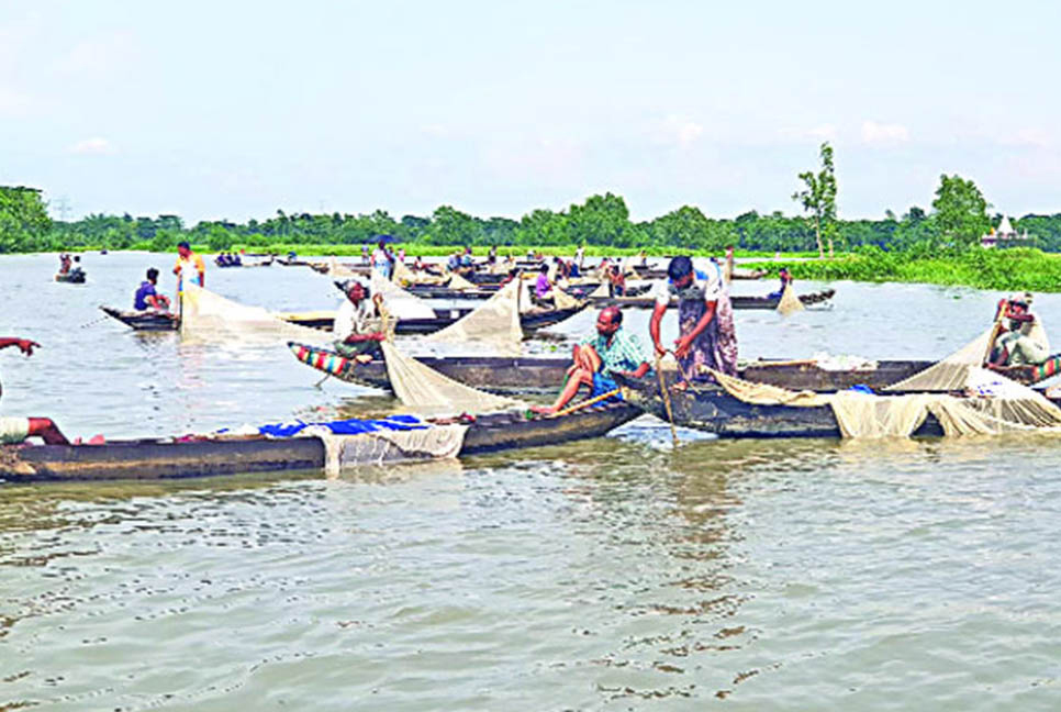 হালদায় অভিযানে দেড় হাজার মিটার ঘেরা জাল জব্দ