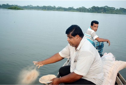 নিচু জমিতে বর্ষায় মাছ চাষ করে ৬০০ কৃষক আর্থিকভাবে স্বাবলম্বী