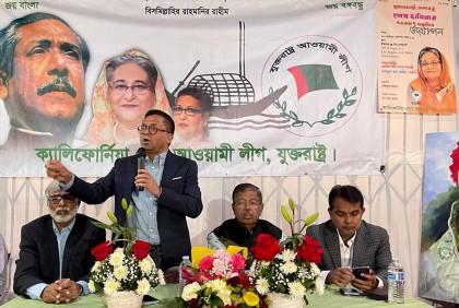বিএনপির দেশি-বিদেশি ষড়যন্ত্র প্রতিহত করতে হবে: এনামুল হক শামীম